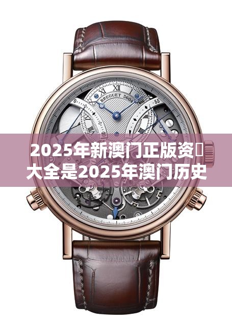 2025年新澳门正版资枓大全是2025年澳门历史记录查询，典型释义、专家解析解释与落实?小心误导宣传风险
